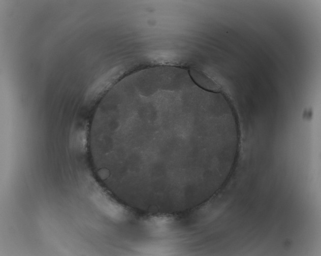 X0000111800065200908131445