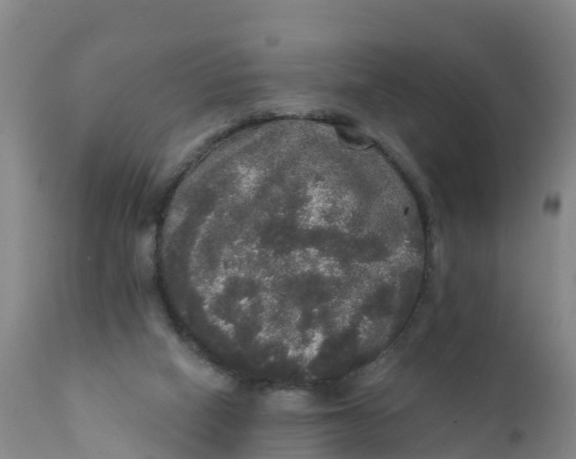 X0000111800066200908131445