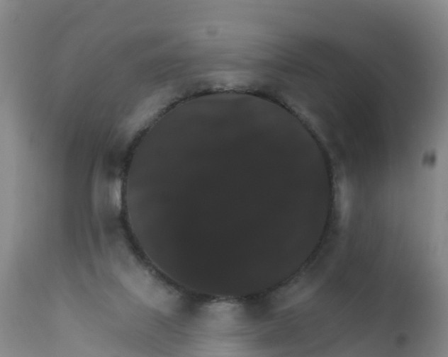 X0000111800067200908131445