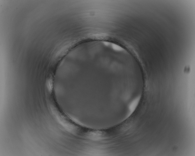 X0000111800069200908131445