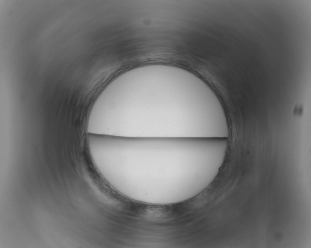 X0000111800070200908131445