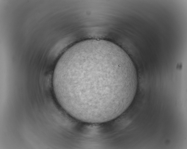 X0000111800071200908131445