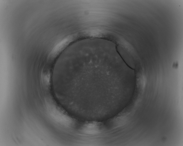 X0000111800072200908131445