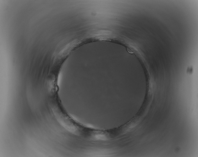 X0000111800073200908131445