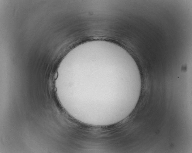 X0000111800074200908131446
