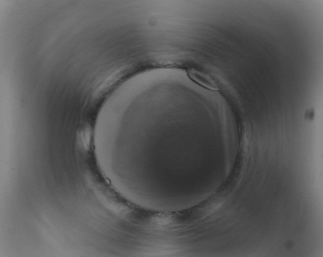 X0000111800076200908131446