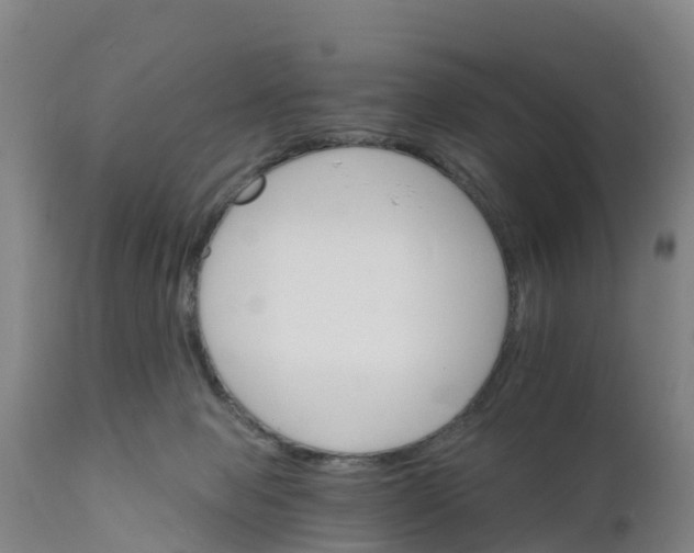 X0000111800077200908131446