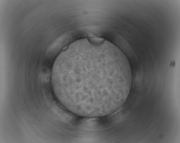 X0000111800078200908131446
