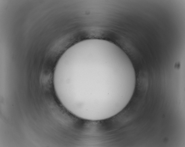 X0000111800079200908131446