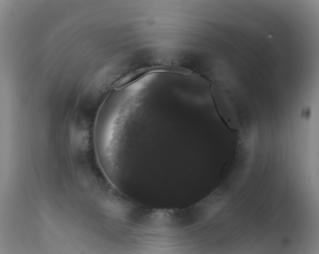 X0000111800080200908131446