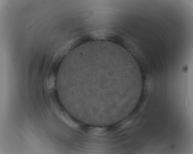 X0000111800081200908131446
