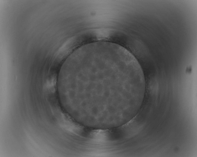 X0000111800082200908131446