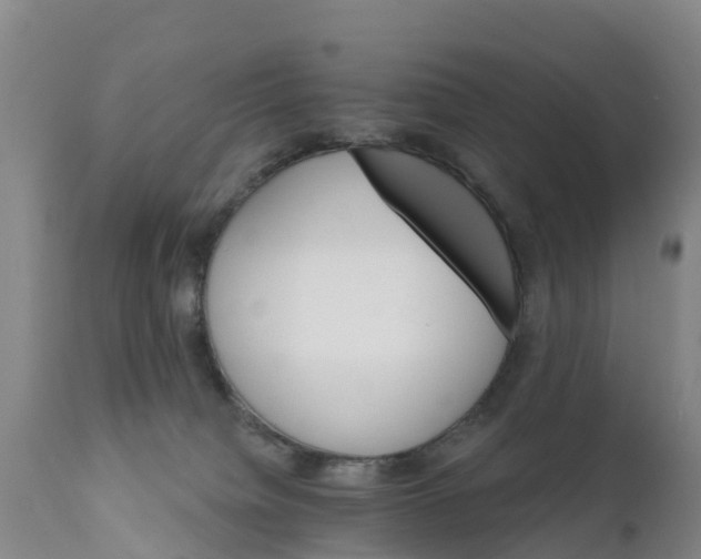 X0000111800084200908131446