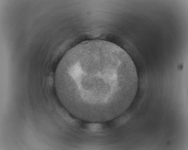 X0000111800085200908131446