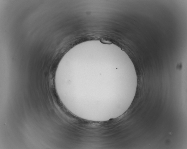 X0000111800086200908131446
