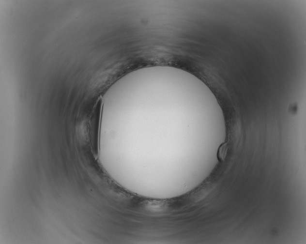 X0000111800088200908131446