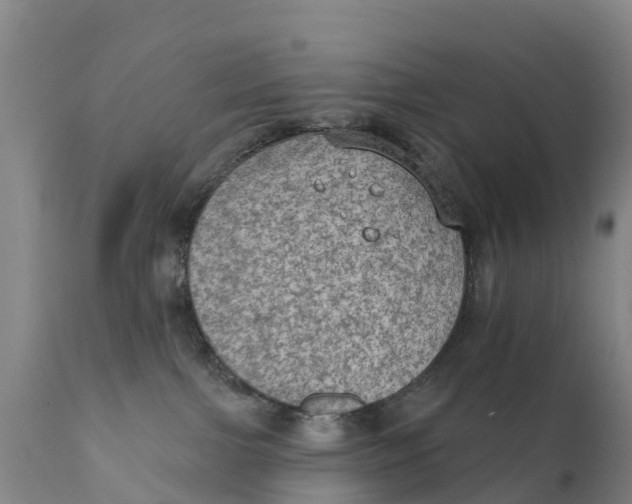 X0000111800091200908131446