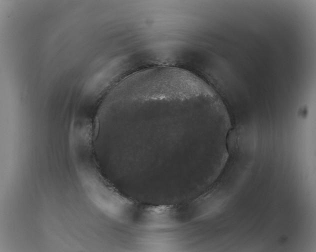 X0000111800092200908131446