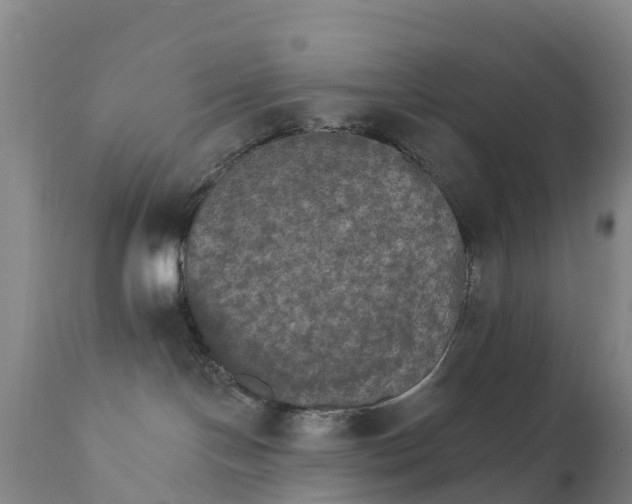 X0000111800094200908131446