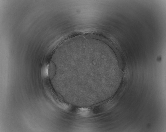 X0000111800095200908131446