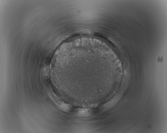 X0000111800096200908131446