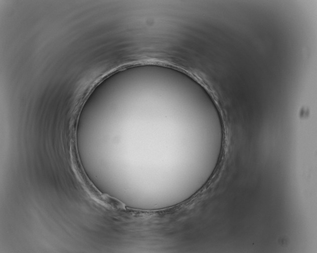 X0000111800097200908131445