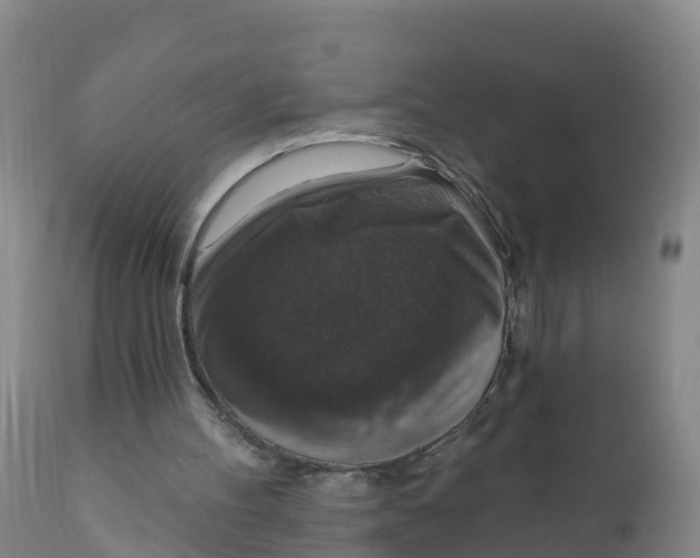 X0000111800100200908131445