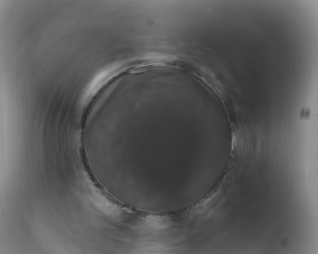 X0000111800101200908131445
