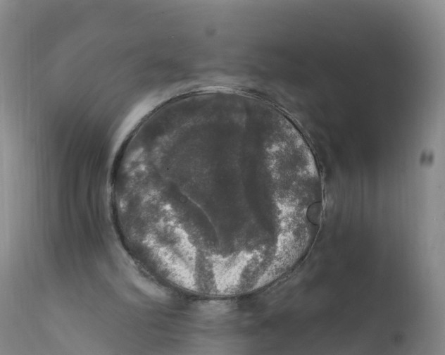 X0000111800102200908131445