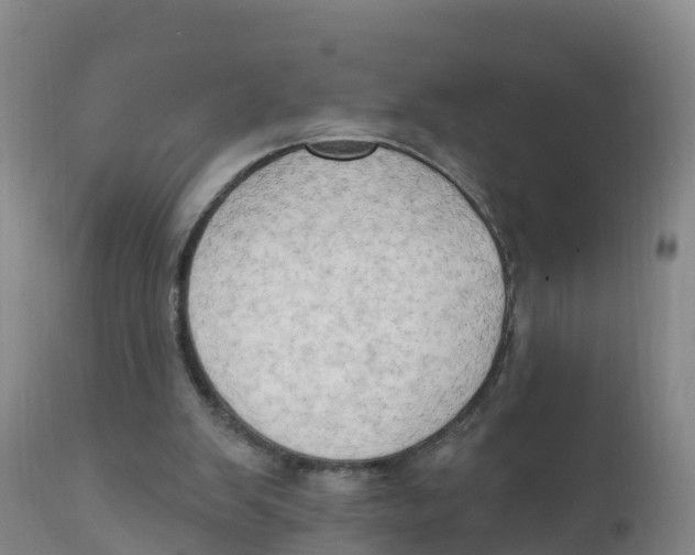 X0000111800103200908131445