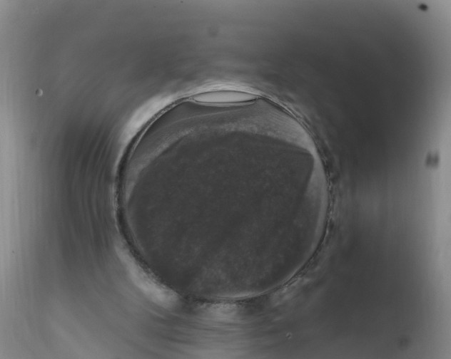 X0000111800104200908131445