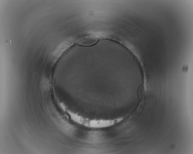 X0000111800105200908131445