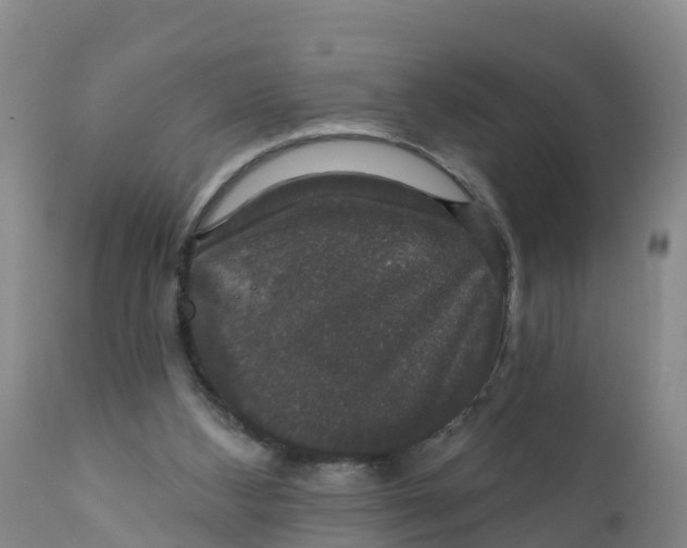 X0000111800108200908131445