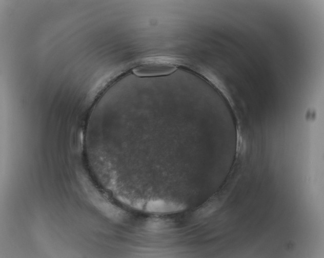 X0000111800109200908131445
