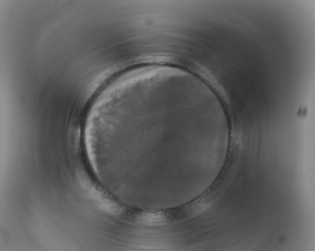 X0000111800110200908131445