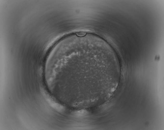 X0000111800112200908131445