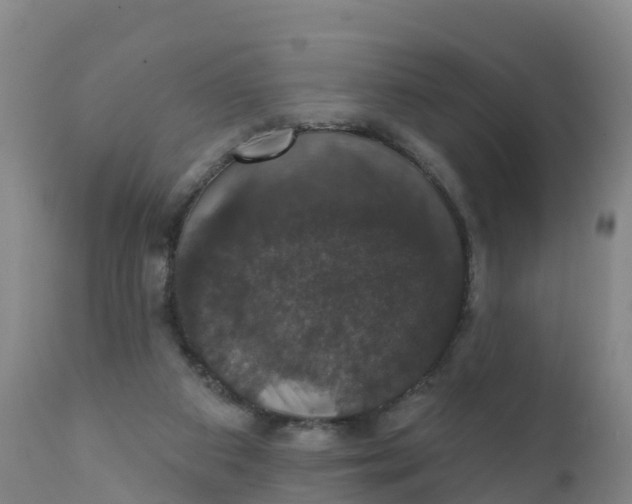 X0000111800113200908131445
