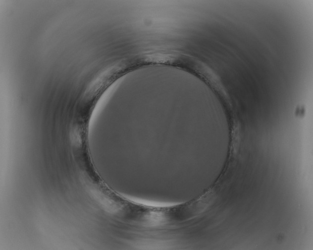 X0000111800114200908131445