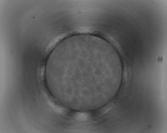X0000111800115200908131445