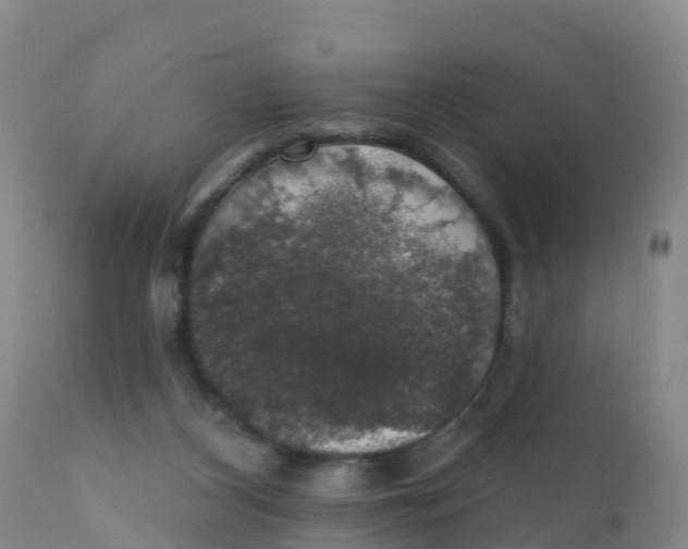 X0000111800116200908131445