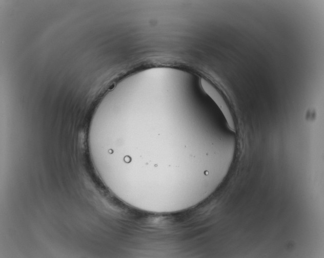 X0000111800117200908131445