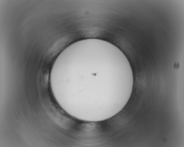 X0000111800118200908131445