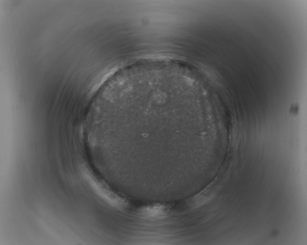 X0000111800120200908131445