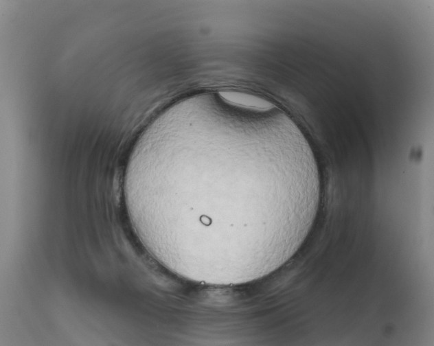 X0000111800121200908131445