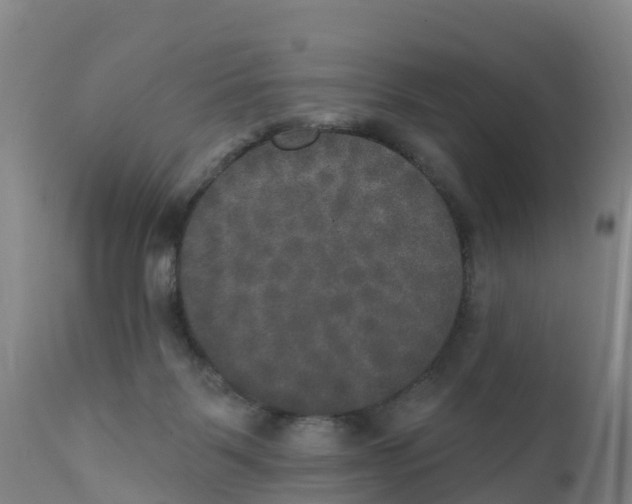 X0000111800123200908131445