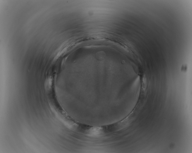 X0000111800124200908131445