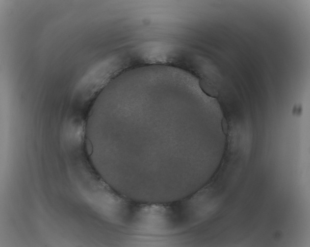 X0000111800125200908131445