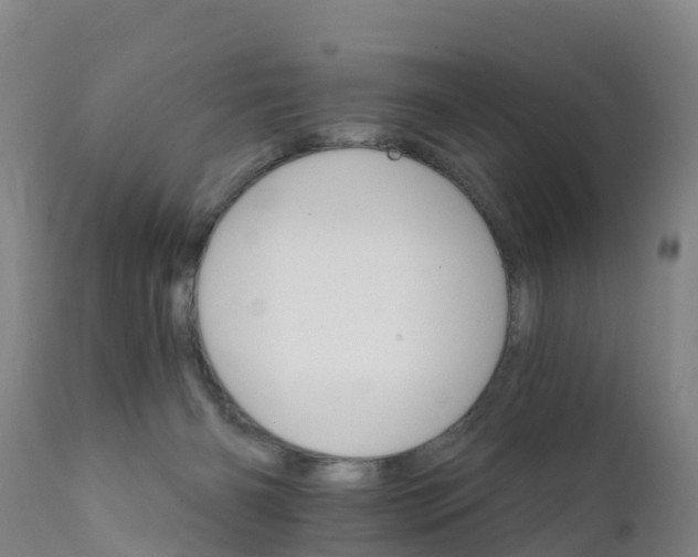 X0000111800126200908131445