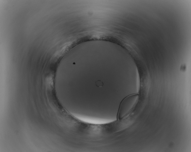 X0000111800127200908131445