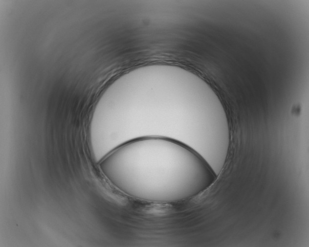 X0000111800128200908131445